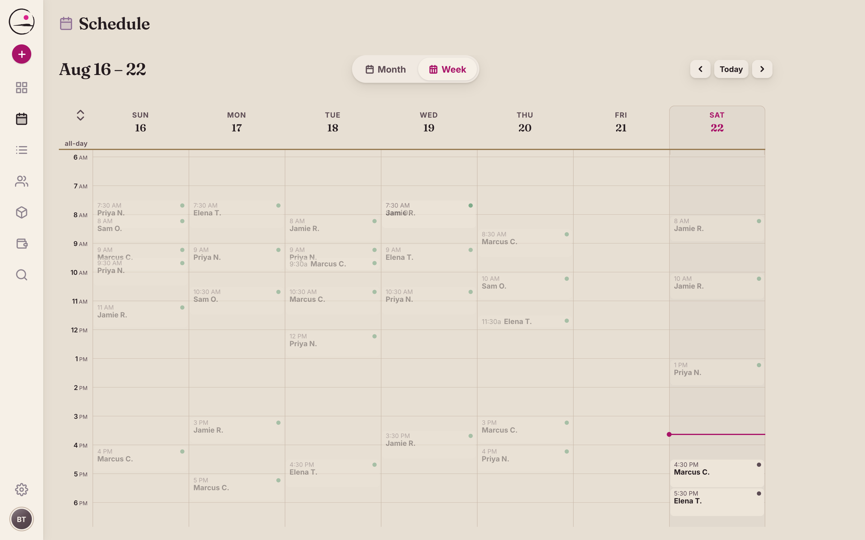 Week view of the schedule, full of private and duet sessions across six days